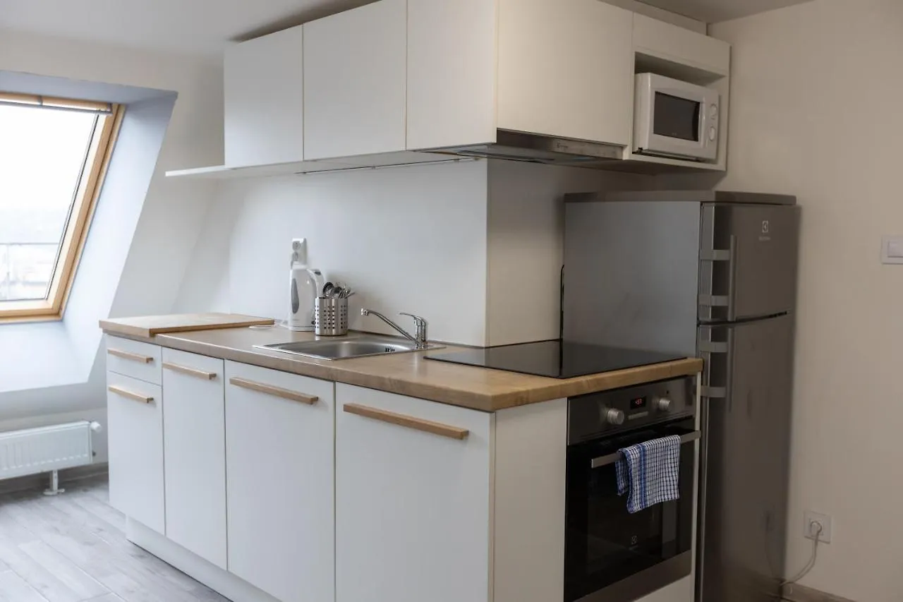 Top Wenceslas Square Apartment Praga 3*,
